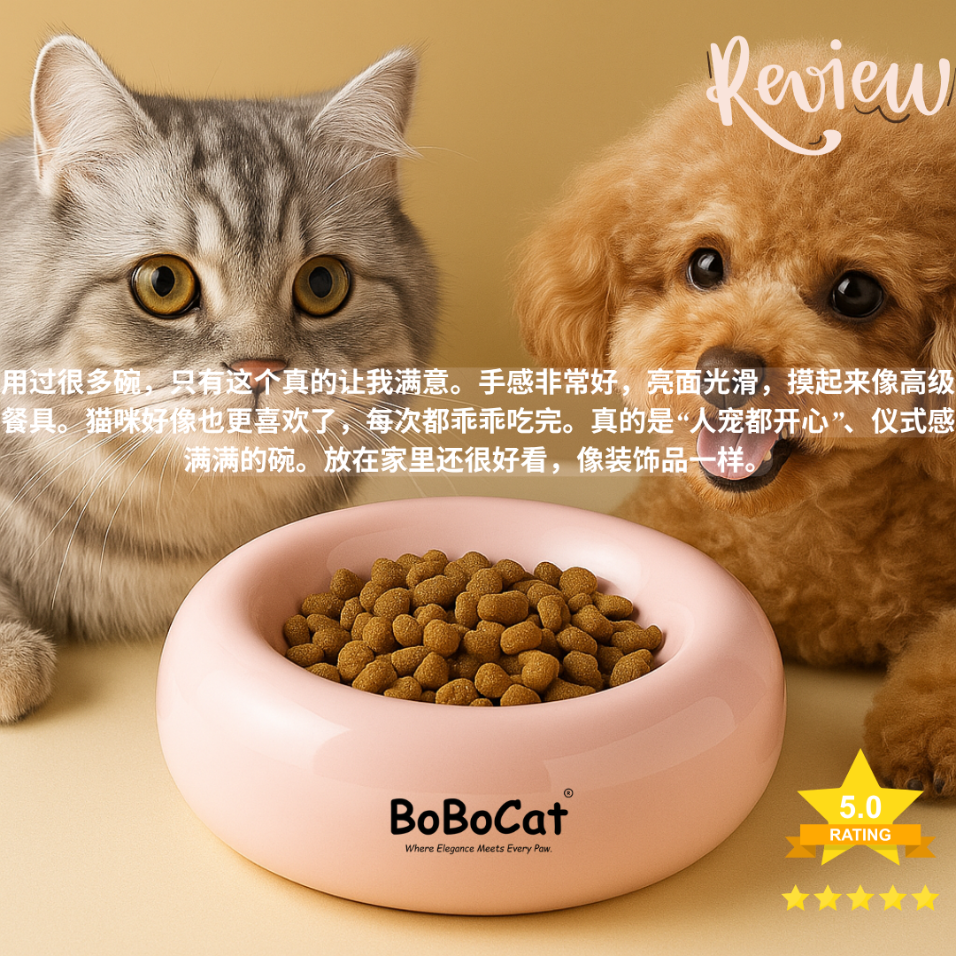BoBoCat Premium Ceramic Pet Bowl