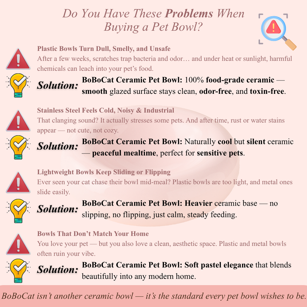 BoBoCat Premium Ceramic Pet Bowl