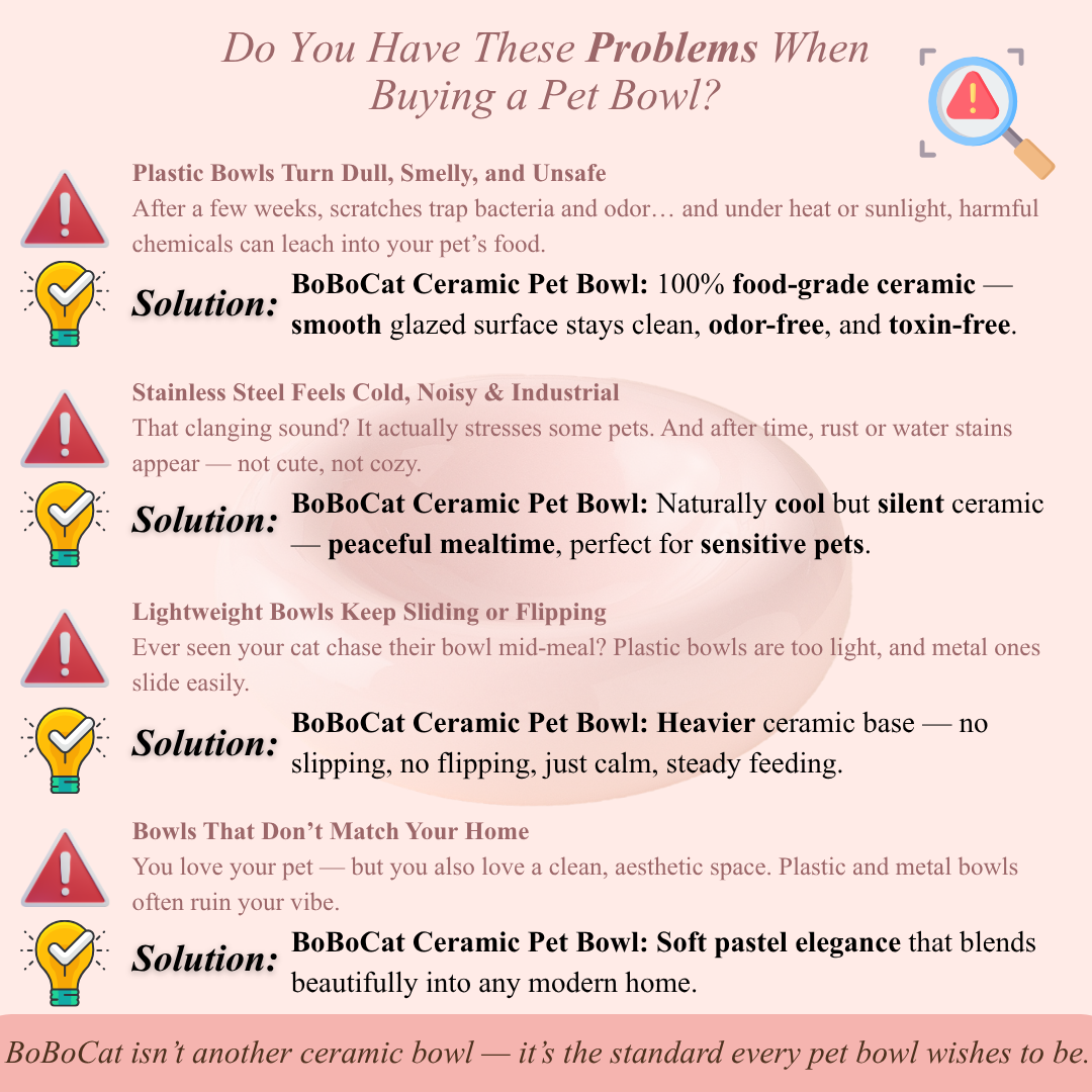 BoBoCat Premium Ceramic Pet Bowl