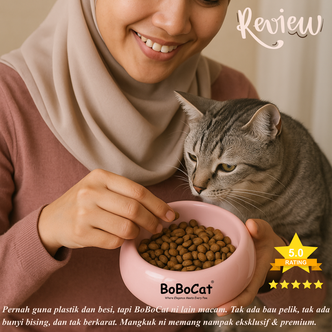 BoBoCat Premium Ceramic Pet Bowl