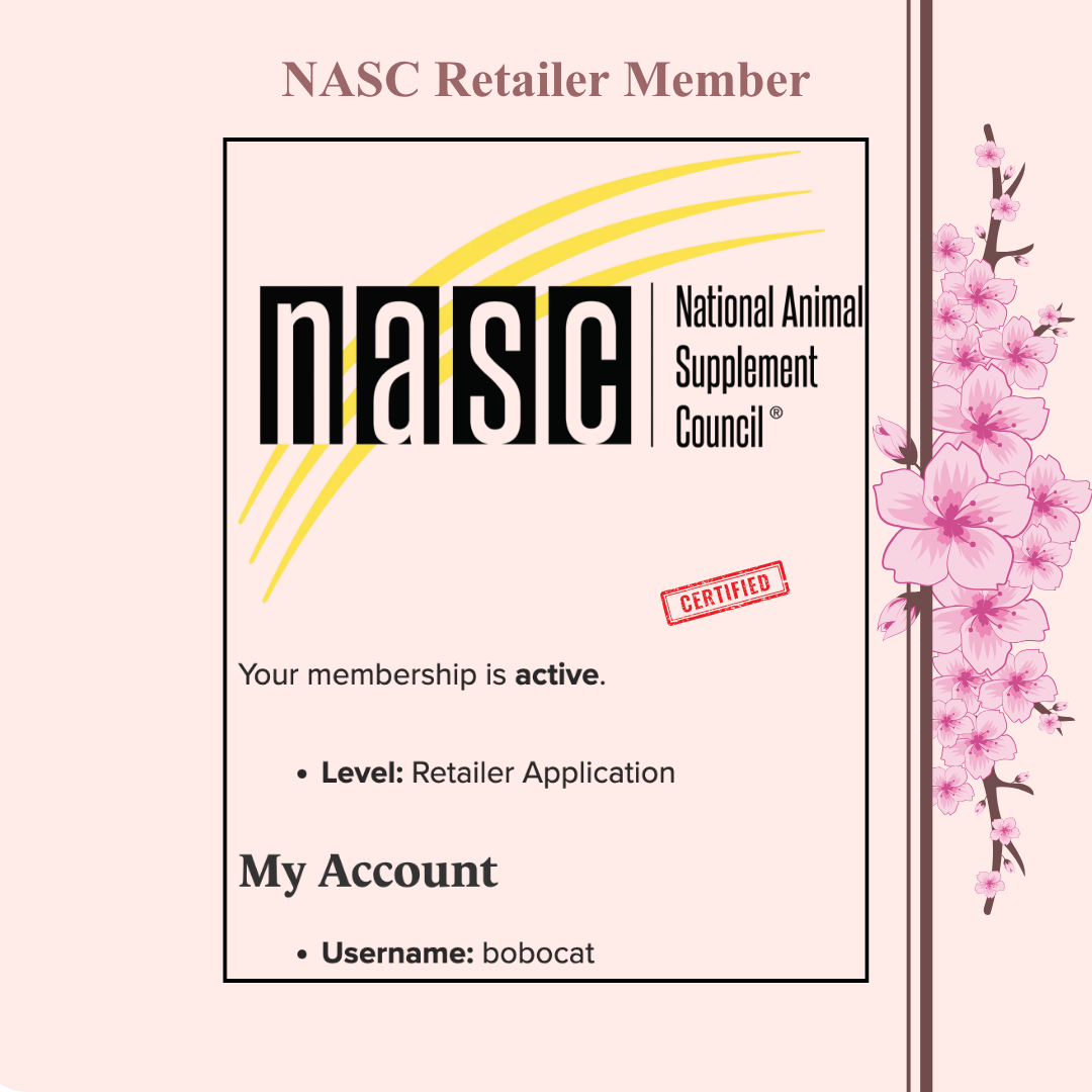 BoBoCat Premium Ceramic Pet Bowl