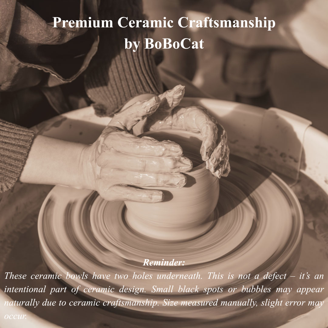 BoBoCat Premium Ceramic Pet Bowl