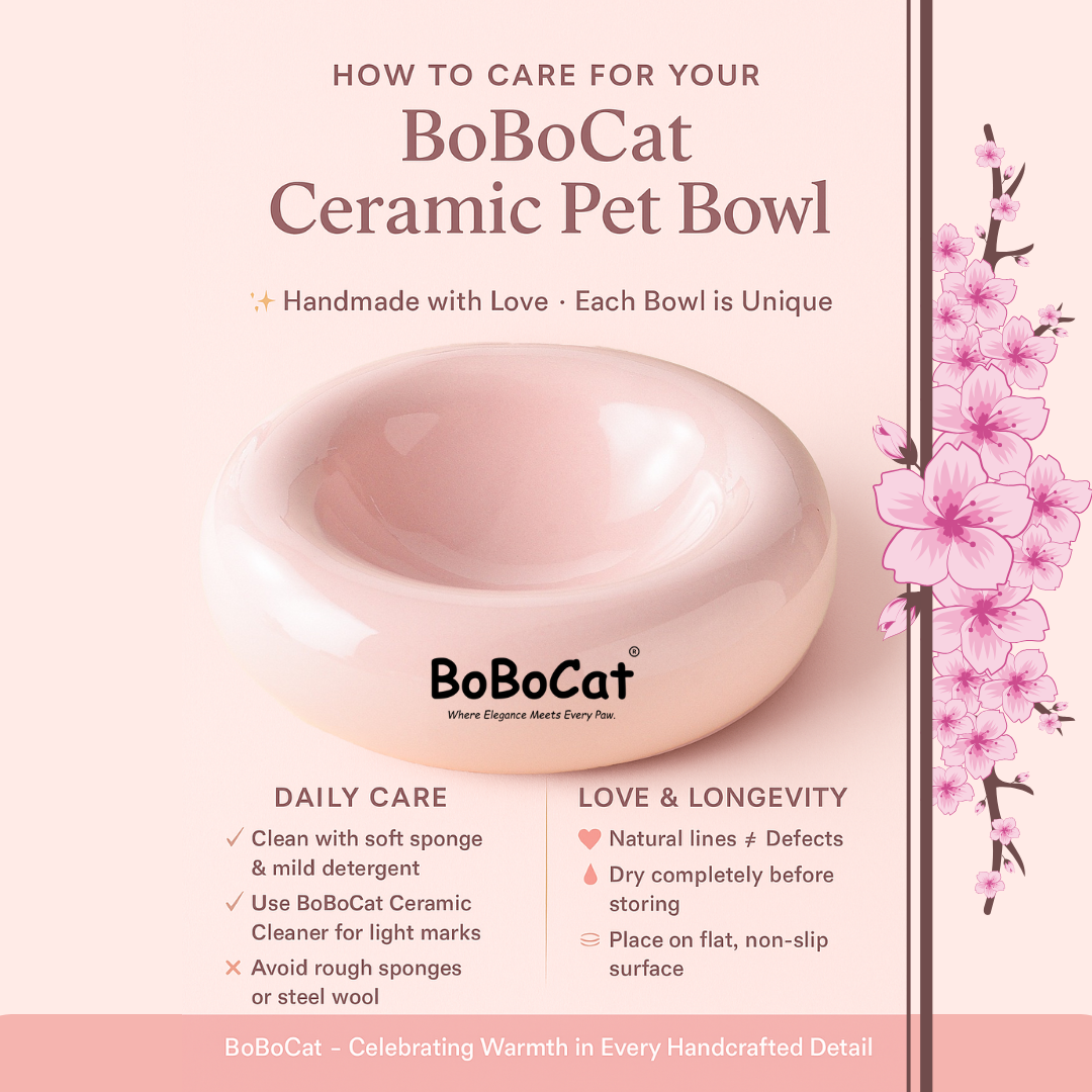 BoBoCat Premium Ceramic Pet Bowl